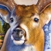 Bass Pro Shops: The Hunt artwork