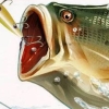 Big Catch Bass Fishing 2 artwork
