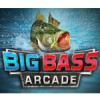 Big Bass Arcade (Wii) artwork