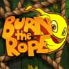 Burn the Rope (Wii) artwork
