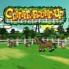 Critter Round-Up (Wii) artwork