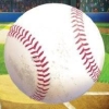 The Cages Pro-Style Batting Practice (XSX) game cover art