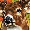 Cabela's Monster Buck Hunter (XSX) game cover art