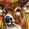 Cabela's Monster Buck Hunter artwork