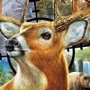 Cabela's North American Adventures artwork