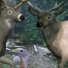 Canada Hunt (XSX) game cover art
