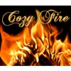 Cozy Fire (Wii) artwork