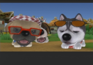 the dog island wii game