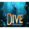 Dive: The Medes Islands Secret (Wii) artwork