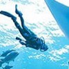 Endless Ocean (Wii)