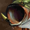 Hooked! Real Motion Fishing (XSX) game cover art