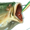 Hooked! Again: Real Motion Fishing artwork