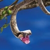 I'm A Celebrity... Get Me Out of Here! (XSX) game cover art