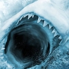 JAWS: Ultimate Predator (XSX) game cover art