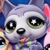 Littlest Pet Shop (XSX) game cover art