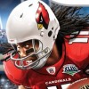 Madden NFL 10 (Wii)