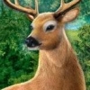 Mathews Bowhunting (XSX) game cover art