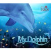 My Dolphin artwork