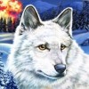 Nancy Drew: The White Wolf of Icicle Creek (Wii)