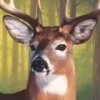 North American Hunting Extravaganza artwork