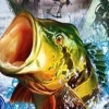 Outdoor Action Double Pack artwork