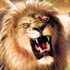 Remington Super Slam Hunting: Africa (XSX) game cover art