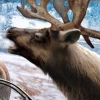 Remington Super Slam Hunting: Alaska (XSX) game cover art
