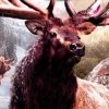 Remington Super Slam Hunting: North America (XSX) game cover art