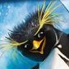 Surf's Up artwork