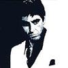 Scarface: The World is Yours (XSX) game cover art