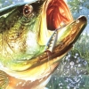 SEGA Bass Fishing (XSX) game cover art