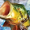 Shimano Xtreme Fishing artwork