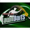 Target Toss Pro: Lawn Darts (XSX) game cover art