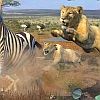 Wild Earth: African Safari artwork