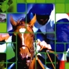 Winning Post World (XSX) game cover art