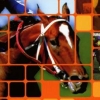 Winning Post World 2010 (XSX) game cover art