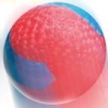 World Sports Party (XSX) game cover art