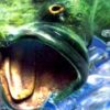 Bass Masters 2000 artwork