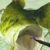 Bass Rush: EcoGear PowerWorm Championship artwork