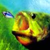 In-Fisherman Bass Hunter 64 artwork