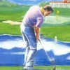 Top Player's Golf artwork