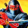 3D The Super Shinobi II artwork