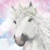 Bella Sara 2: The Magic of Drasilmare (XSX) game cover art