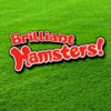 Brilliant Hamsters! (XSX) game cover art