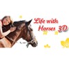 Life with Horses 3D artwork