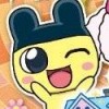 Ouchi Mainichi Tamagotchi (XSX) game cover art