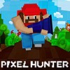 Pixel Hunter (XSX) game cover art