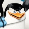Penguins of Madagascar (XSX) game cover art