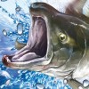 Reel Fishing Paradise 3D (XSX) game cover art