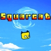 Squarcat artwork